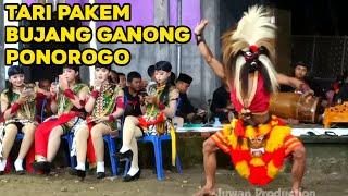 TARI PAKEM BUJANG GANONG PONOROGO Versi AGUS KENTUS DAN YOSIKA TERBARU