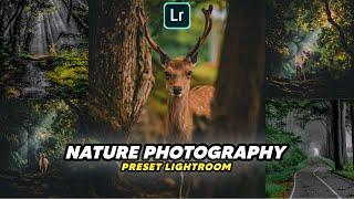 50+ PRESET LIGHTROOM | NATURE PHOTOGRAPHY | LIGHTROOM TUTORIAL