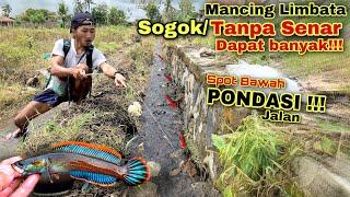 Mancing channa limbata di bawah pondasi pinggir jalan dapat pedes-pedes gais !!!