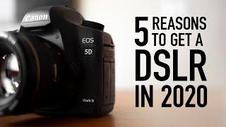 5 Reasons to get an old DSLR in 2020 - Are DSLRs dead?