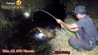 MENYERAMKAN MANCING MALAM DIPARIT TERABAIKAN IKANNYA KELEWAT BESAR || MANCING LEMBAT MALAM