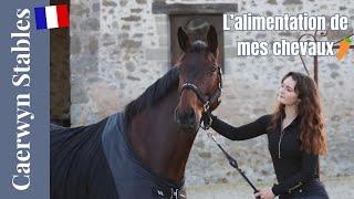 L'alimentation de mes chevaux l Caerwyn Stables l Version Française