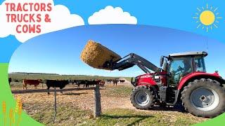 Tractors, Trucks, Motorbikes, Cows, Goats | Fun Farm Videos For Kids