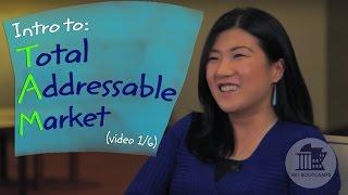 Intro: How to Find Total Addressable Market (TAM) - Feat. Thyme Labs (Pt 1/6)