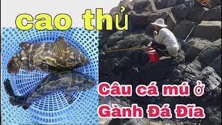 #12 CÂU CÁ MÚ GIẢI TRÍ Ở GÀNH ĐÁ ĐĨA PHÚ YÊN