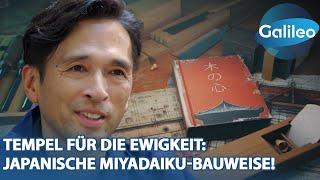 Häuser & Tempel ganz ohne Schrauben und Nägel: So funktioniert die japanische Miyadaiku-Bauweise!