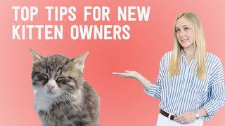 New Kitten? 10 things you NEED to know!