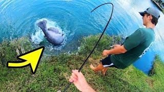 We CAUGHT A ROD with a MONSTER CATFISH ON IT! (UNREAL)