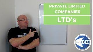 A level Business Revision - Private Limited Companies (LTD's)