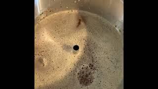 Brewzilla 3.1.1 - How to brew