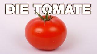 Die Tomate - Grundkurs Biologie | Alternative Fakten fürs Referat | Parodie