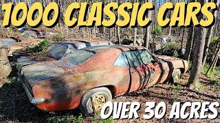 Exploring A Classic Car Junk Yard - 1000 Classics