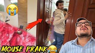 Sab k sath prank karna fail ho gayalala ki wajy sy mouse mar gayabichaara