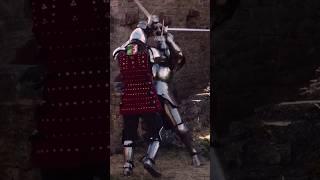 realistic knight fights