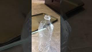 How to empty a refrigerator drip pan (evaporator tray)