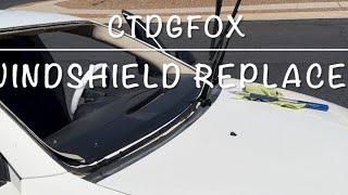 CTDGFOX #windshieldreplacement #car #cutedog #cutedogfox2024