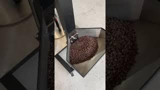 Wintop 30kg Coffee Destoner Operation Video