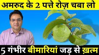 खली पेट अमरुद के 2 पत्ते खाने के 5 फायदे | 5 Health Benefits Of Guava Leaves