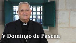 V DOMINGO DE PASCUA - Reflexión del obispo de Cartagena