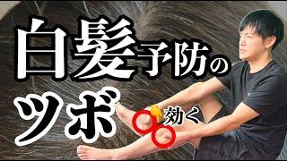 【頭皮だけじゃない】白髪予防に効果抜群！５つのツボ紹介