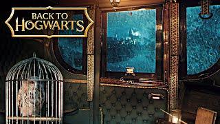 Hogwarts Carriages on a Rainy Night | Harry Potter inspired Ambience & Music | Thestral Carriage