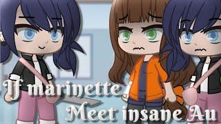 If marinette meet insane au ||Miraculous Ladybug [MLB] skit|| Gacha Club