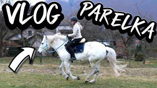 Jazdenie na parelke  parkúr | vlog nakupovanie | jazdenie - jízda na koni | videa o koňoch - koních