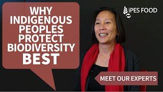 Protecting indigenous & peasant rights can help stop biodiversity crisis | IPES-Food’s Lim Li Ching