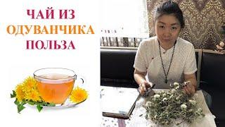 Чай из одуванчика | Полезные свойства чая из одуванчика