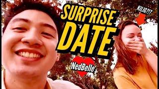 SURPRISE PICNIC DATE!!! | NedBelle