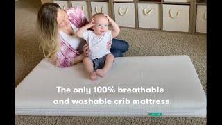 The Newton Essential Crib Mattress