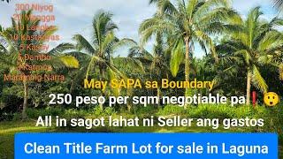 #Vlog233 FARM LOT CLEAN TITLE FOR SALE 250 PESO PER SQM ALL IN SAGOT LAHAT NI SELLER ANG GASTOS