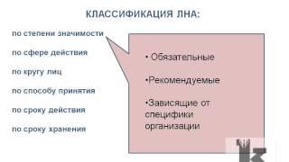 3 локальные  нормативные акты