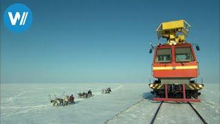 Die Polarbahn (360° - GEO Reportage)