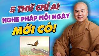 5 Thứ Chỉ Người NGHE PHÁP Mỗi Ngày Mới Nhận Được - Tập Ngay Thói Quen Này! Thích Pháp Hoà Bài Giảng