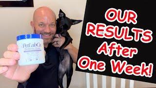 PetLab Co Probiotic Chews For Dogs RESULTS!