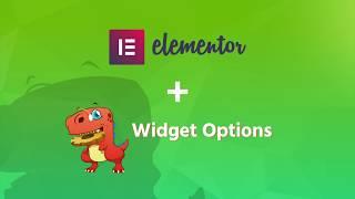 Widget Options Elementor Pagebuilder Support