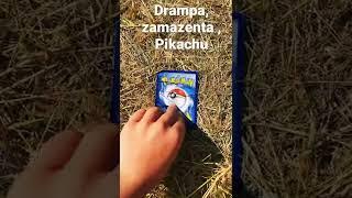 Who is that pokemon drampa , zamazenta ,pikachu