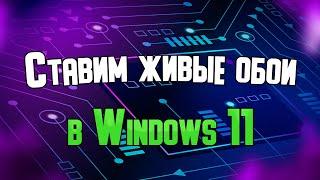 Установка "живых обоев" в Windows 11.