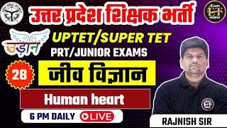 उत्तर प्रदेश शिक्षक भर्ती 2024-25 | UP TET & STET SCIENCE | Human Heart | RAJNISH SIR