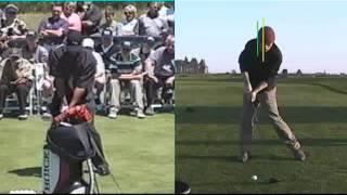 The Dan Plan swing analysis