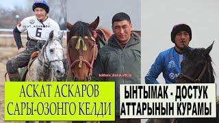 АСКАТ АСКАРОВ САРЫ-ОЗОНГО КЕЛДИ/ НООРУЗ ТУРНИРИ КАЧАН БАШТАЛАТ?, БИЛЕТ БААСЫ КАНЧА БОЛОТ?