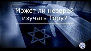 Может ли нееврей изучать Тору? А может ли еврей преподавать Тору нееврею? Урок для бней ноах