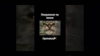 Кит ты маму Мав? Оригинал #мем #shorts