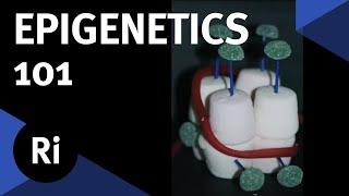 A Quick Introduction to Epigenetics - with Nessa Carey