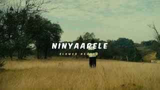 Ninyaarele ( Slowed + Reverb ) | Soul Vibez