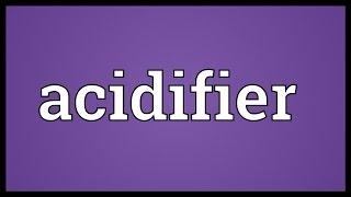 Acidifier Meaning