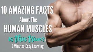 10 Amazing Facts About Human Muscles | Human Muscular System Anatomy | Fun Interesting Muscles Facts