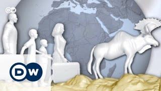 Animal migration – climate change impact | Tomorrow Today