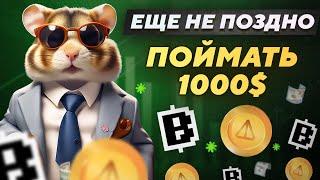 HAMSTER KOMBAT, NOTCOIN, BLUM | СКОЛЬКО ПОЛУЧИТСЯ ЗАРАБОТАТЬ?